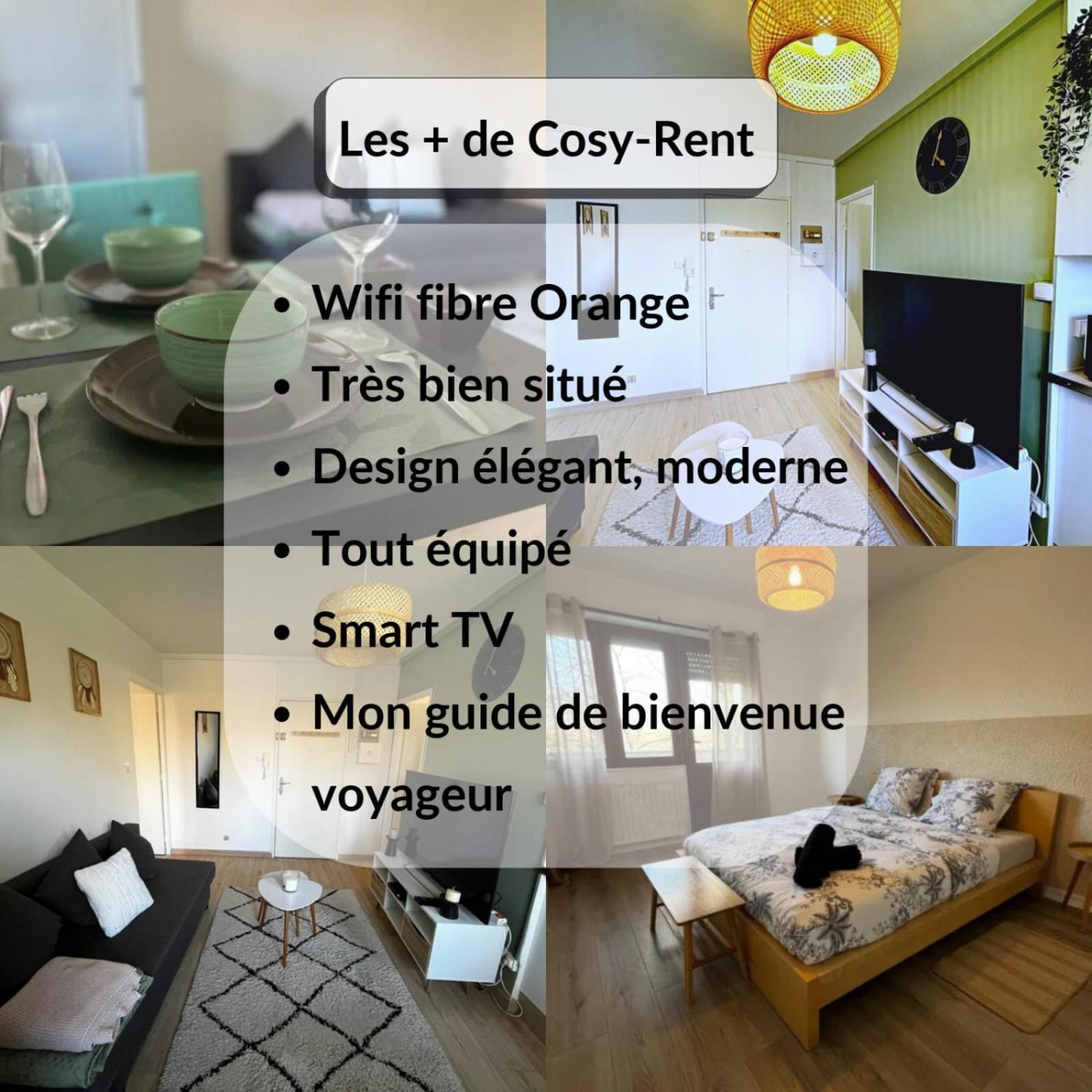 Cosy Rent Strasbourg Appartement Wifi Terrasse Buitenkant foto